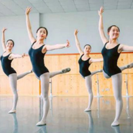 适用素质教育行业机构